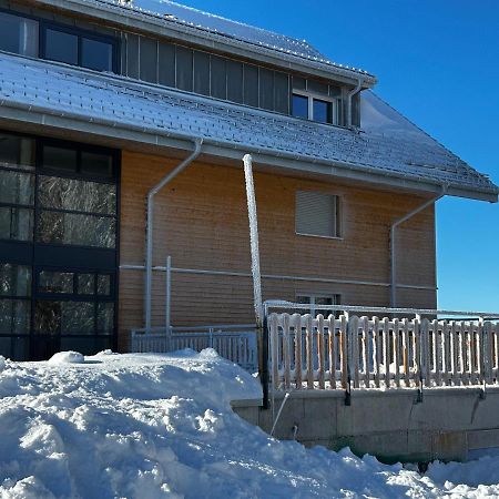 Feldberg Apartment - Direkt An Der Skipiste - Mit Sauna Luaran gambar