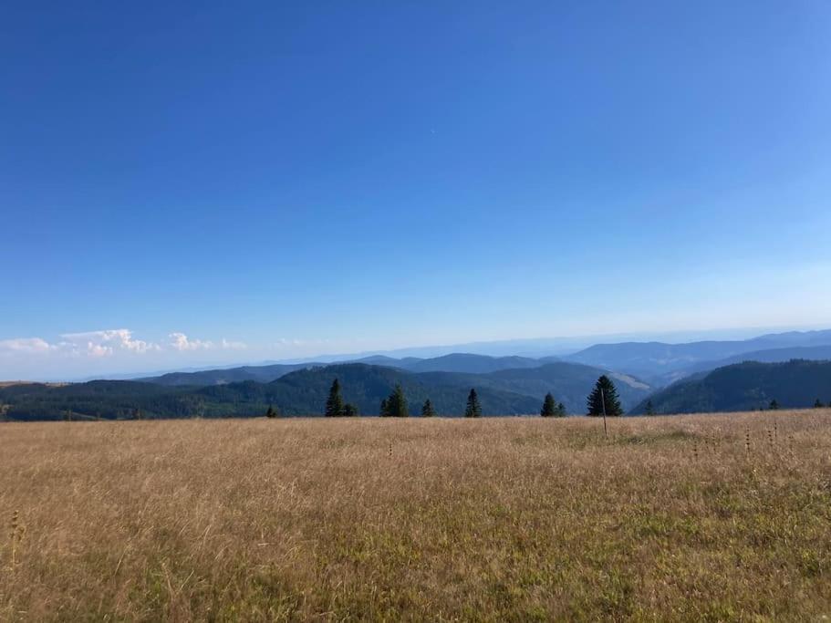 Feldberg Apartment - Direkt An Der Skipiste - Mit Sauna Luaran gambar