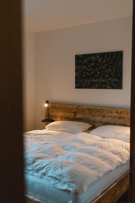 Feldberg Apartment - Direkt An Der Skipiste - Mit Sauna Luaran gambar