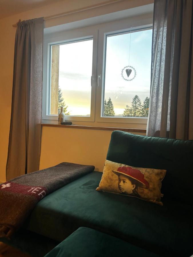 Feldberg Apartment - Direkt An Der Skipiste - Mit Sauna Luaran gambar