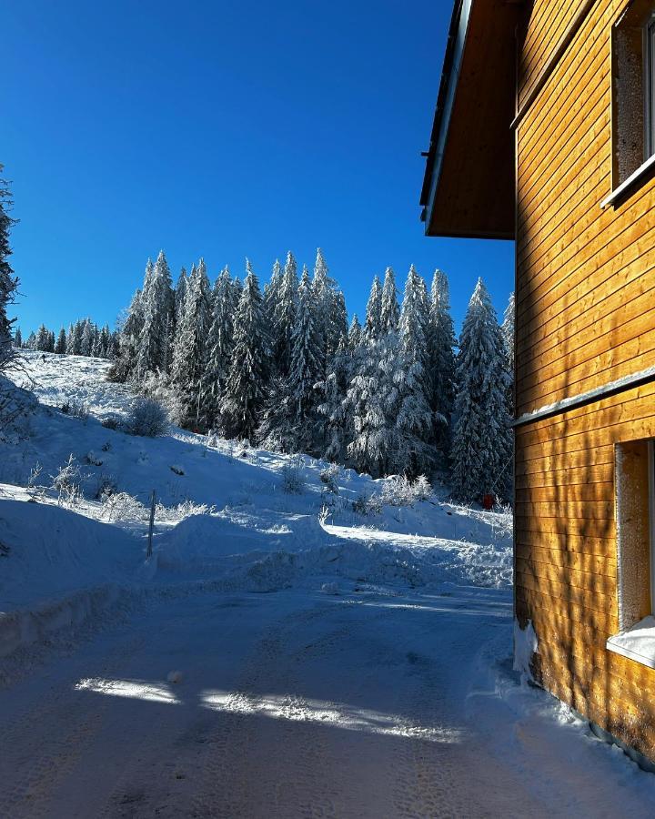 Feldberg Apartment - Direkt An Der Skipiste - Mit Sauna Luaran gambar