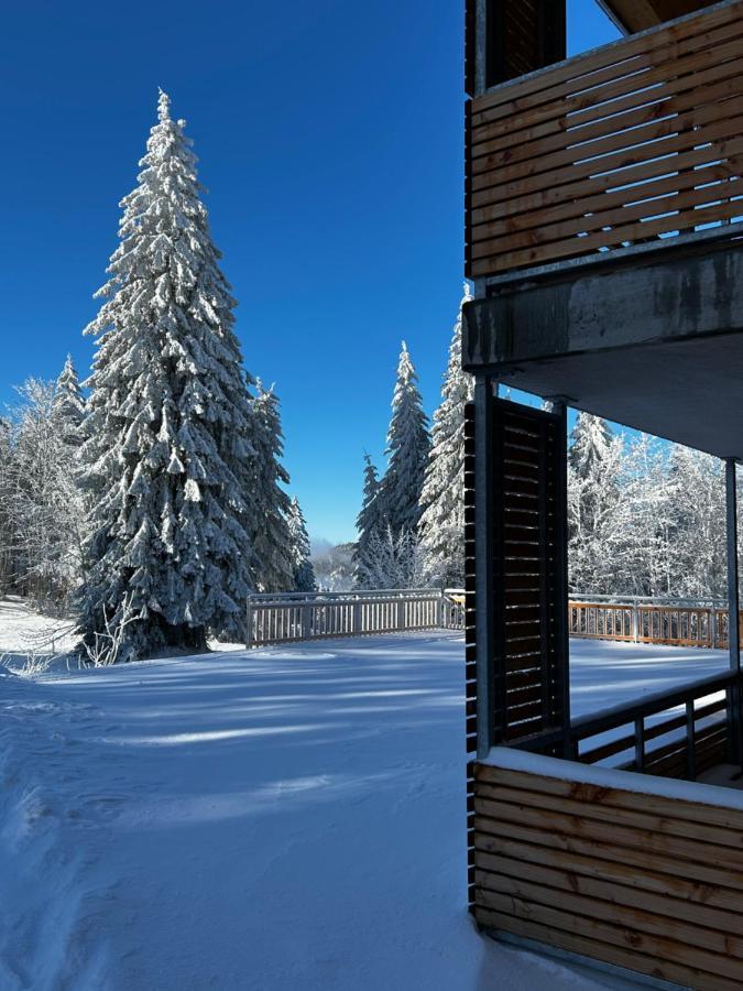 Feldberg Apartment - Direkt An Der Skipiste - Mit Sauna Luaran gambar