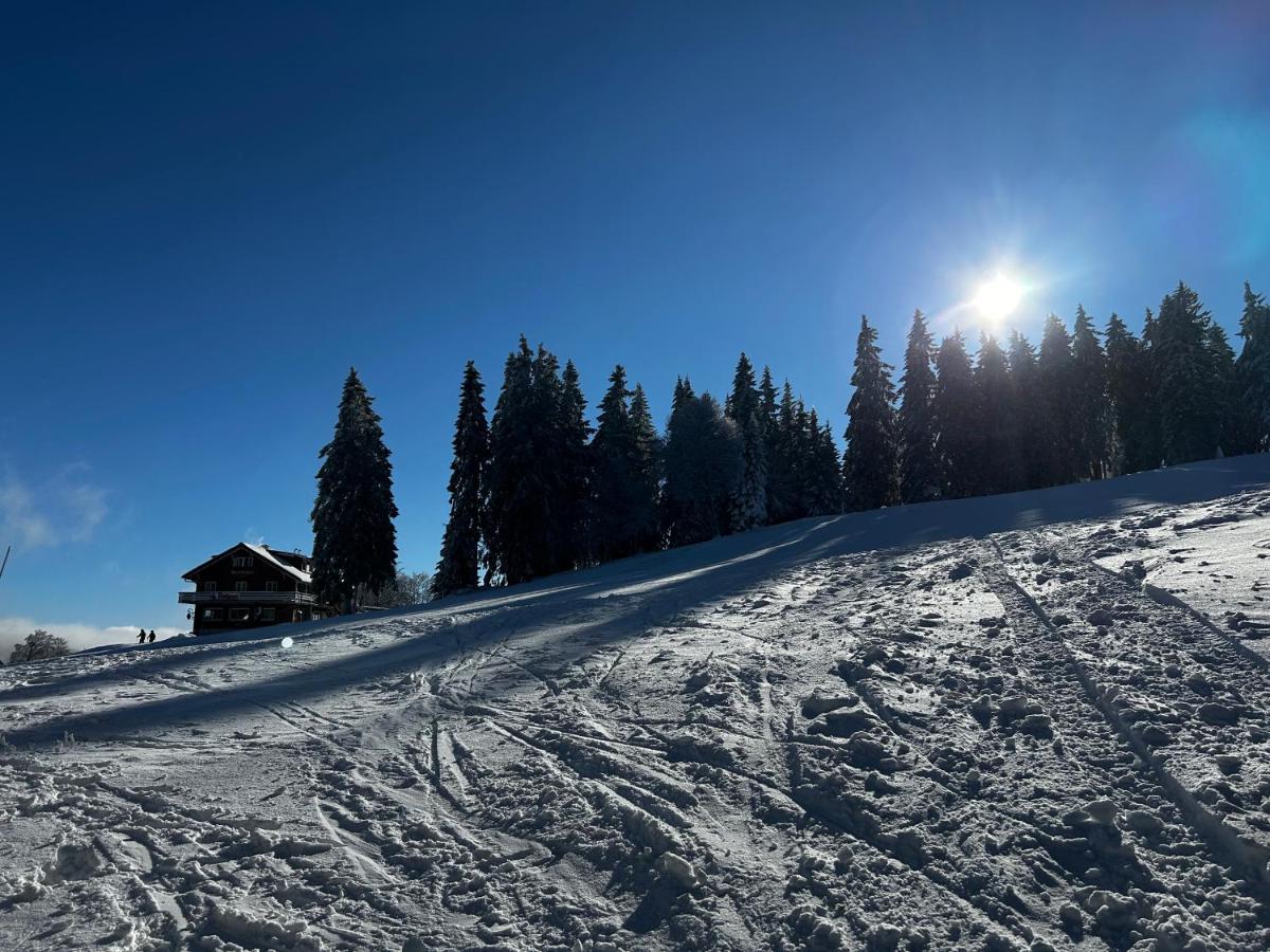 Feldberg Apartment - Direkt An Der Skipiste - Mit Sauna Luaran gambar
