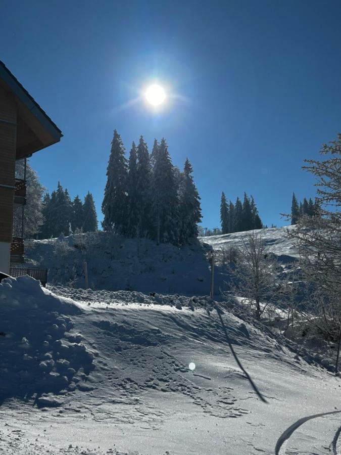 Feldberg Apartment - Direkt An Der Skipiste - Mit Sauna Luaran gambar
