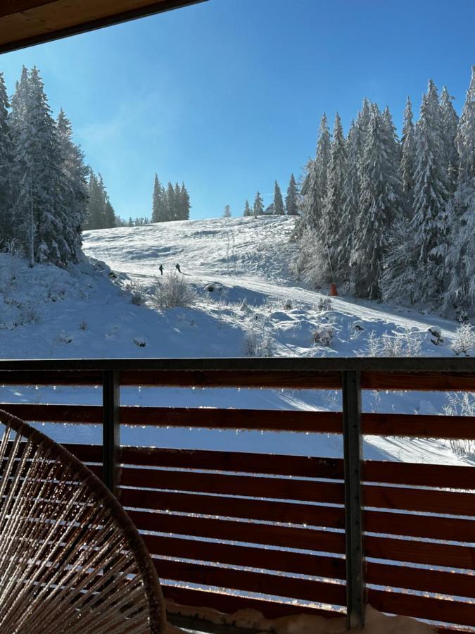 Feldberg Apartment - Direkt An Der Skipiste - Mit Sauna Luaran gambar